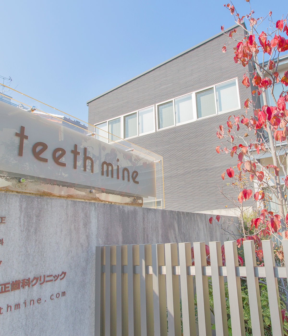 teeth mine かけがえのないあなたの歯をいつまでも大切にしてほしい